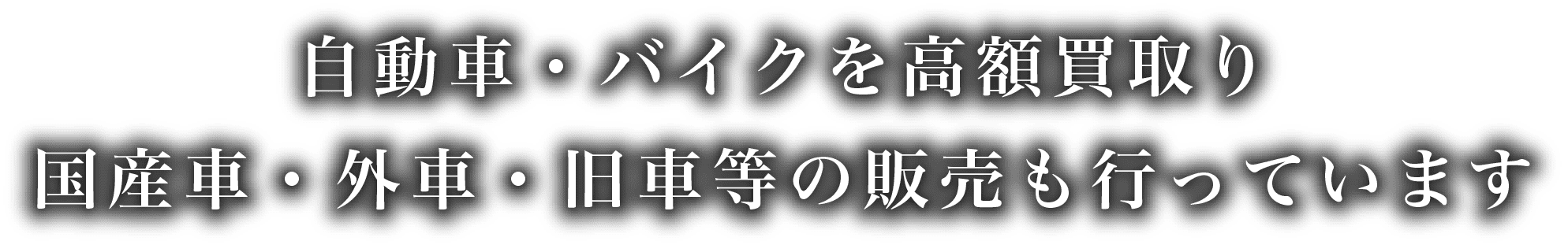 独自の販売ルートでお客様の「理想の1台」をお探しします